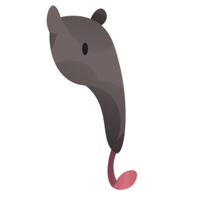 Anteater tongue clipart