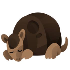 Armadillo sleeping clipart