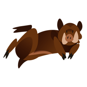 Boar animal lying clipart