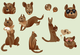 Chipmunk cartoon set vector