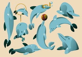 Dolphin cartoon set vector