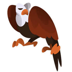 Eagle bird cartoon clipart