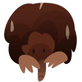 Echidna cartoon front view clipart