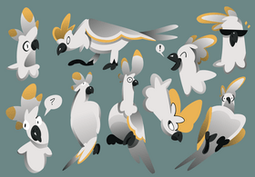 Cockatoo parrot cartoon set vector