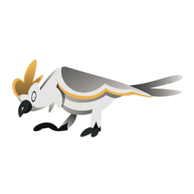 Cockatoo parrot clipart