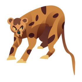 Leopard clipart