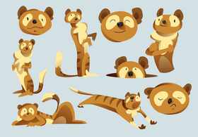 Meerkat cartoon set vector