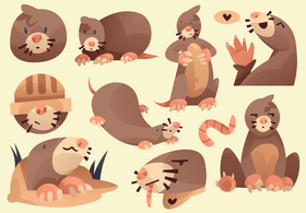 Mole cartoon set vector