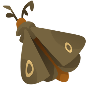 Moth cartoon clipart