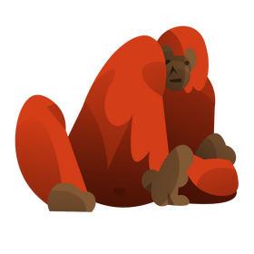 Orangutan sitting clipart