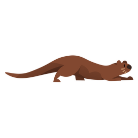 Otter animal clipart