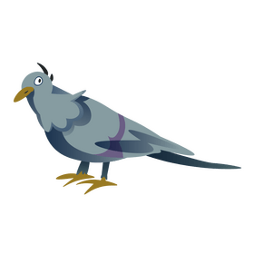 Pigeon clipart