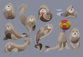 Seal cartoon set vector