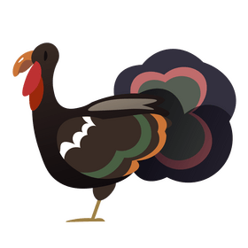 Turkey cartoon clipart