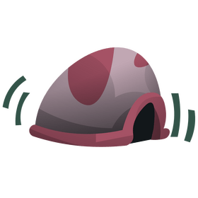 Turtle shell clipart