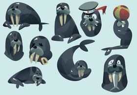 Walrus cartoon set vector
