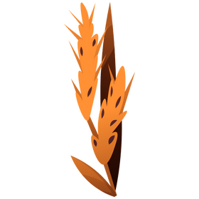 Wheat clipart