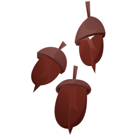 Acorns clipart