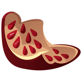 Pomegranate cut clipart