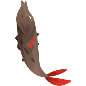 Salmon clipart