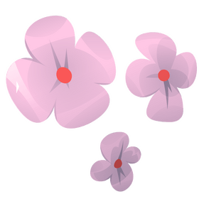 Cherry blossom clipart