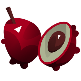 Madagascar lychee clipart