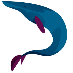 New Zealand whale clipart