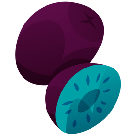 New Zealand kiwi fruit clipart