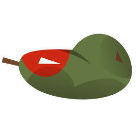 Mango fruit South Africa clipart