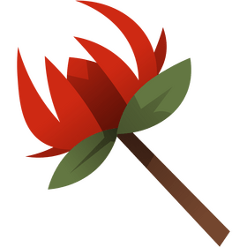 King Protea clipart
