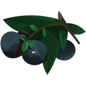 Blueberry branch clipart