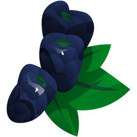 Free blackberries with leaves clipart