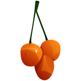 Cherries yellow clipart