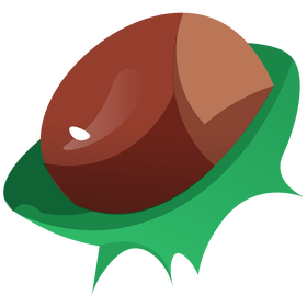 Chestnut half shell clipart