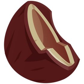 Coconut half clipart