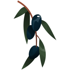 Olives branch clipart