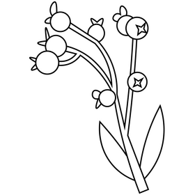 Winter berries cartoon black and white clipart