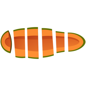Papaya cut clipart