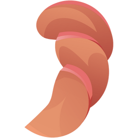 Peach cut in slices clipart