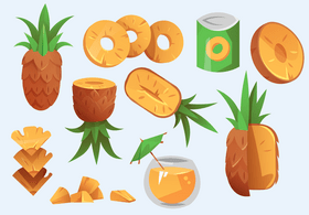 Pineapple vector