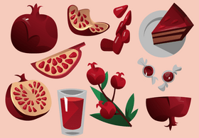 Pomegranate vector