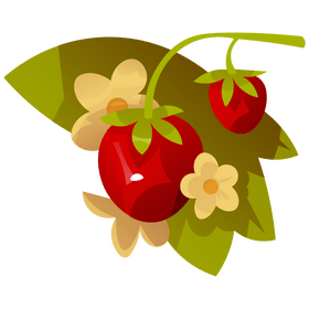 Strawberry branch with flowers clipart
