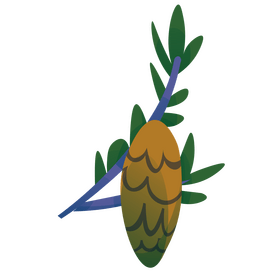 Christmas tree branch drawing clipart