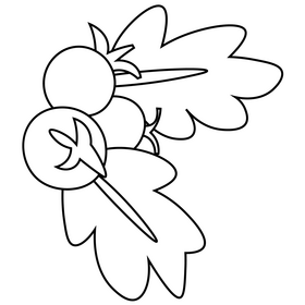 Winter berries cartoon black and white clipart