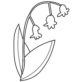 Snowdrop plant drawing black and white clipart