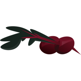 Beetroot leaves clipart