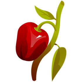 Bell pepper branch clipart