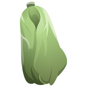Cabbage chinese clipart