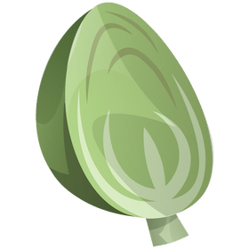 Cabbage half png transparent clipart