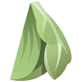 Green cabbage segment clipart